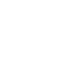 Steam